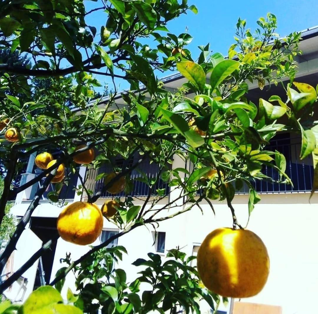 B&B Verdeoliva Модуньо Екстериор снимка