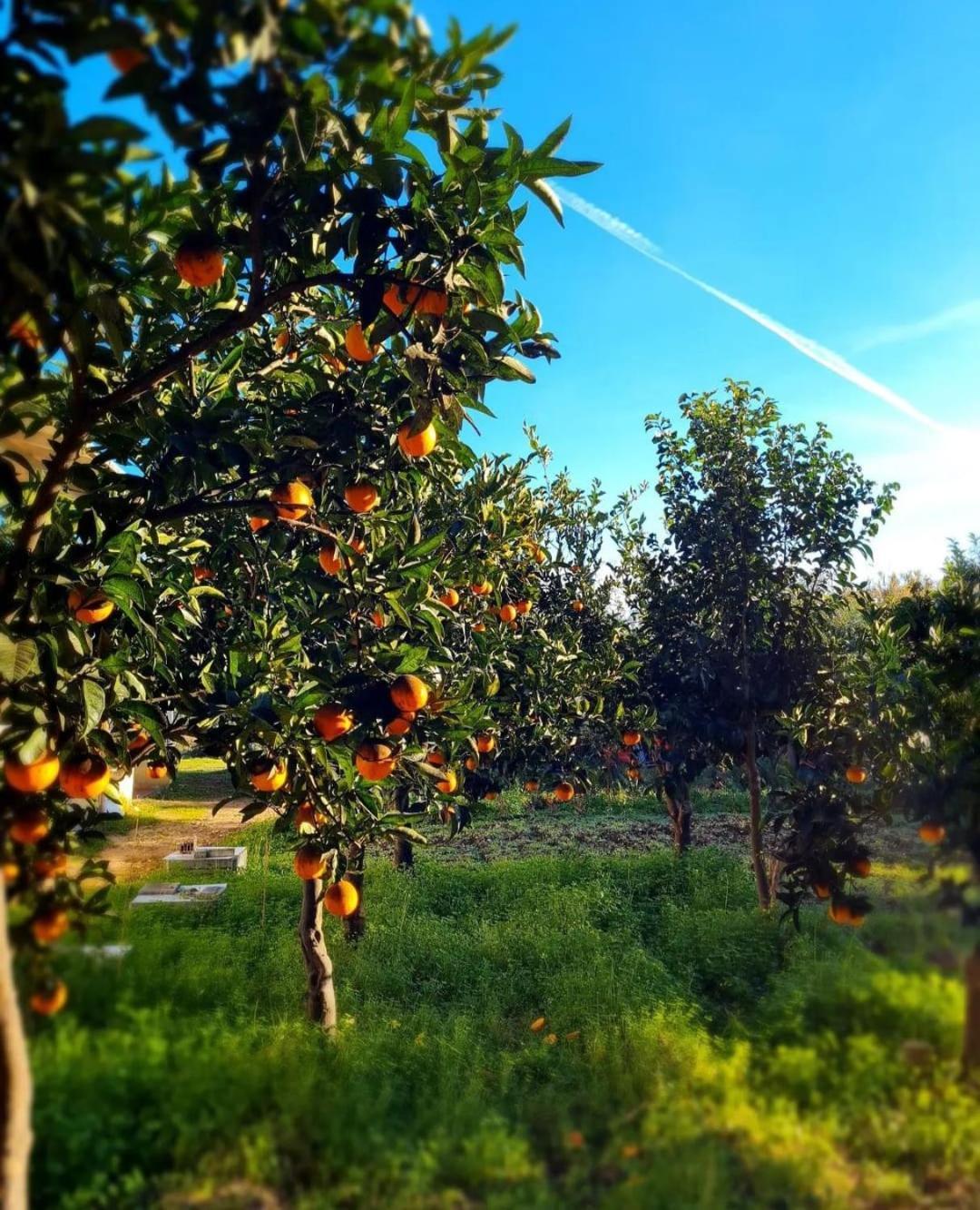 B&B Verdeoliva Модуньо Екстериор снимка
